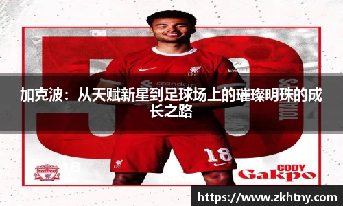 PA视讯官网