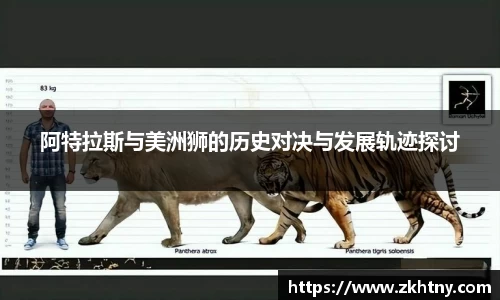 PA视讯